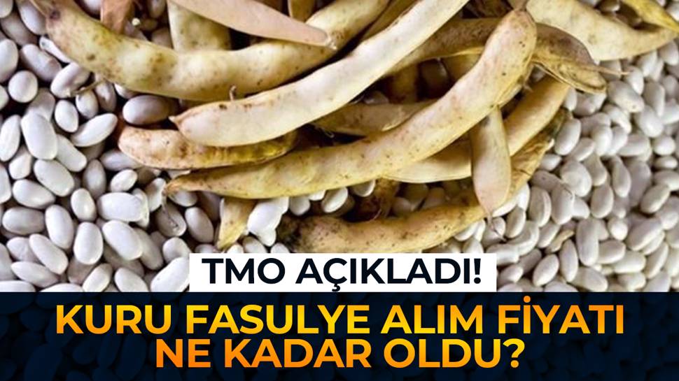 Toprak Mahsulleri Ofisi Kuru Fasulye Al M Fiyatlar N A Klad