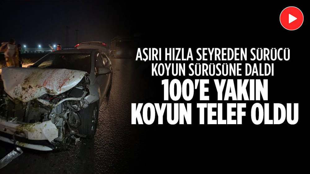 Adana Da Otomobil Koyun S R S Ne Dald Koyun Telef Oldu Ankara