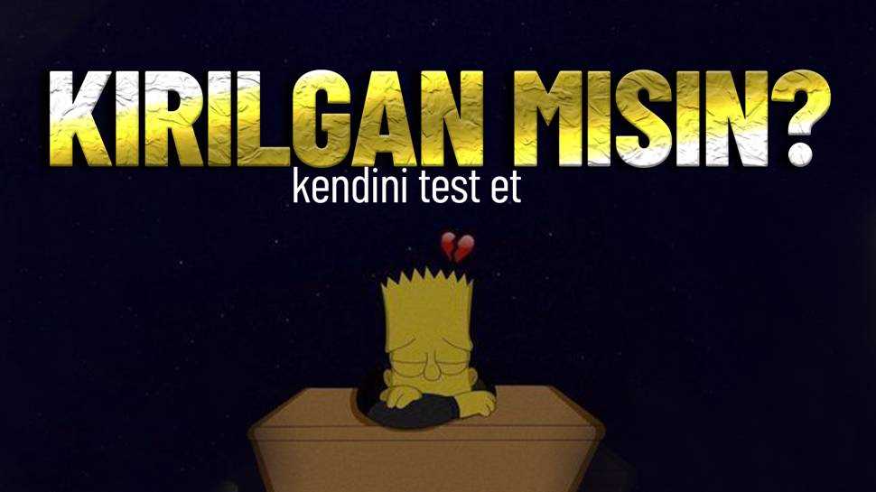 10 SORUDA 'KIRILGAN MISIN' TESTİ