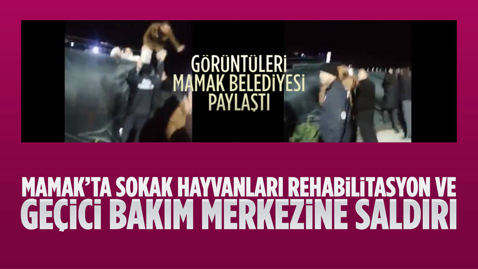 Mamak'ta saldırgan bir grup Sokak Hayvanları Rehabilitasyon ve Geçici Bakım Merkezine zorla girmeye çalıştılar