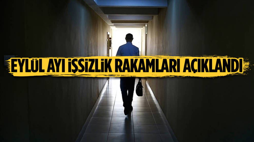 TÜİK işsizlik rakamlarını açıkladı