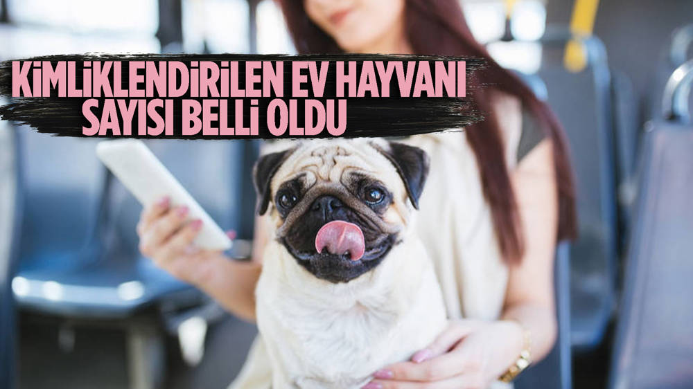 Kimliklendirilen ev hayvanı sayısı 1,4 milyonu aştı