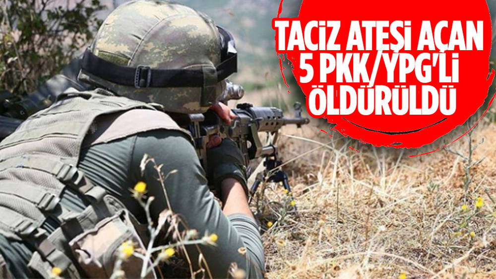 Taciz ateşi açan 5 PKK/YPG'li öldürüldü