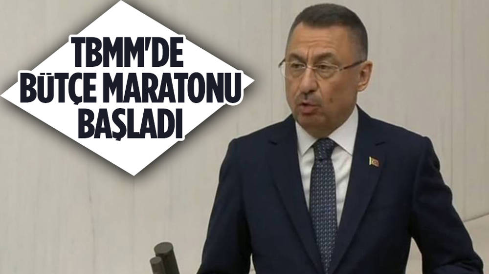 TBMM'de bütçe maratonu başladı