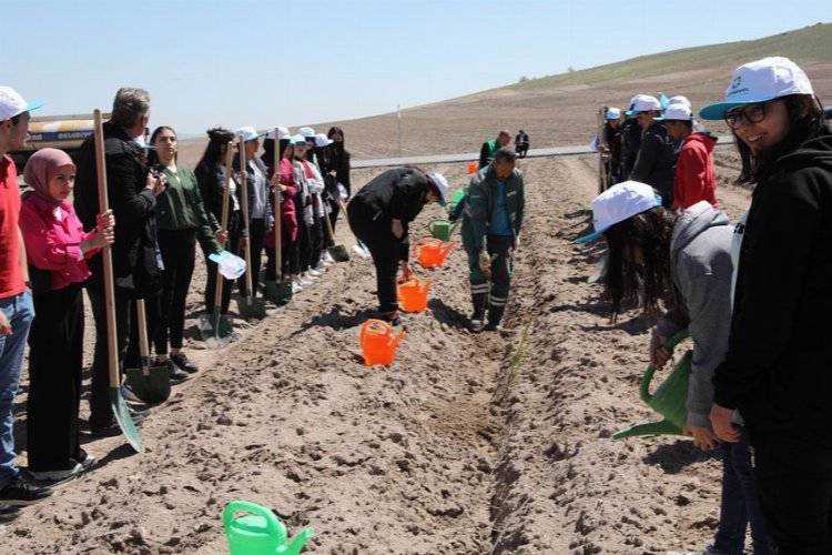 Kayseri Kocasinan'da Engelliler Haftası'nda fidan dikildi 