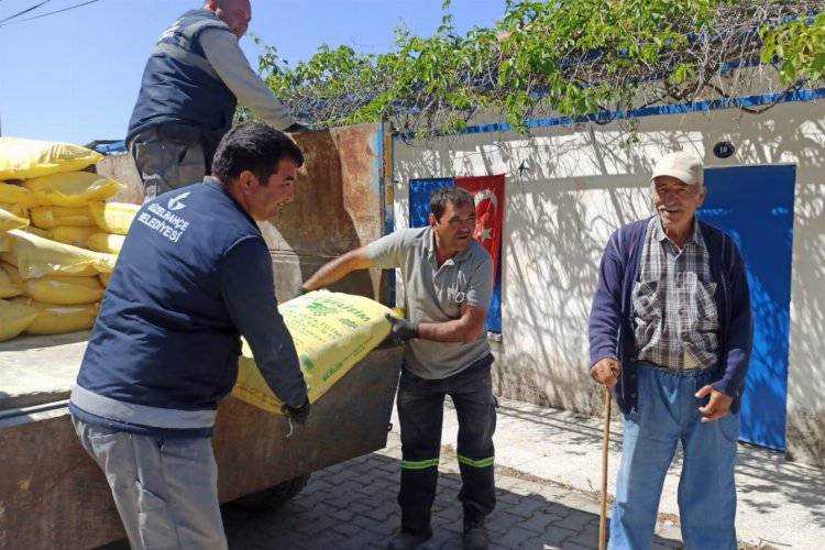 İzmir Güzelbahçe'de çiftçilere 'kükürt' desteği