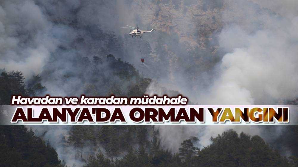 Alanya'da orman yangını