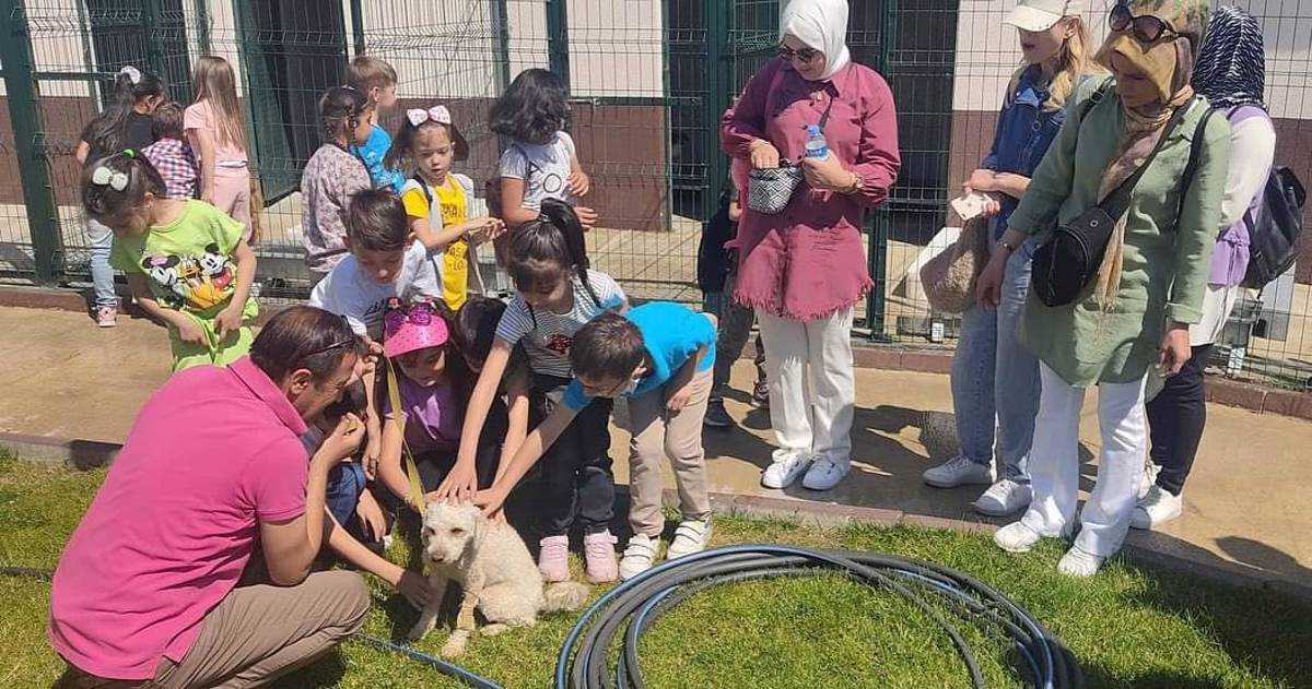 Öğrencilerden Sokak Hayvanları Bakım Evi Ve Rehabilitasyon Merkezi'ne ...