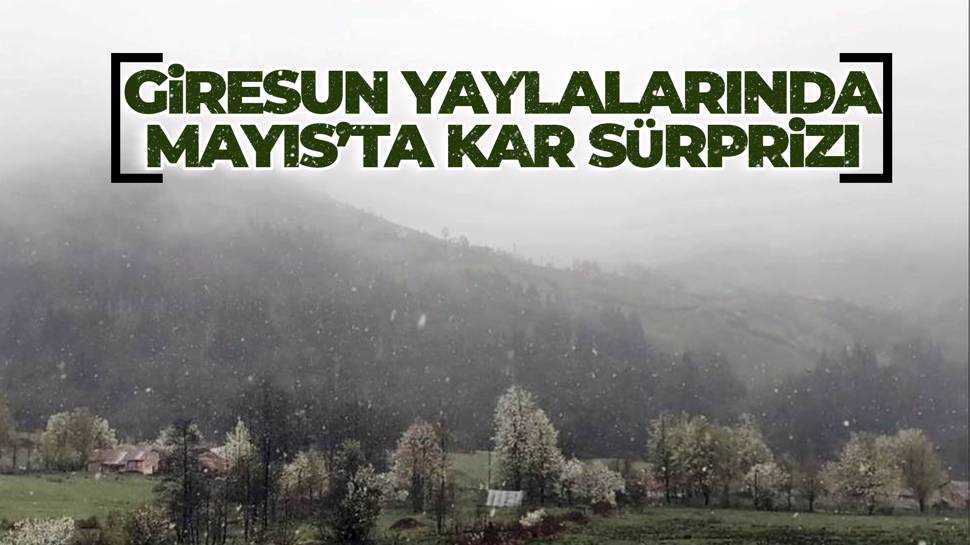 Giresun Yaylalarında Mayıs’ta Kar Sürprizi