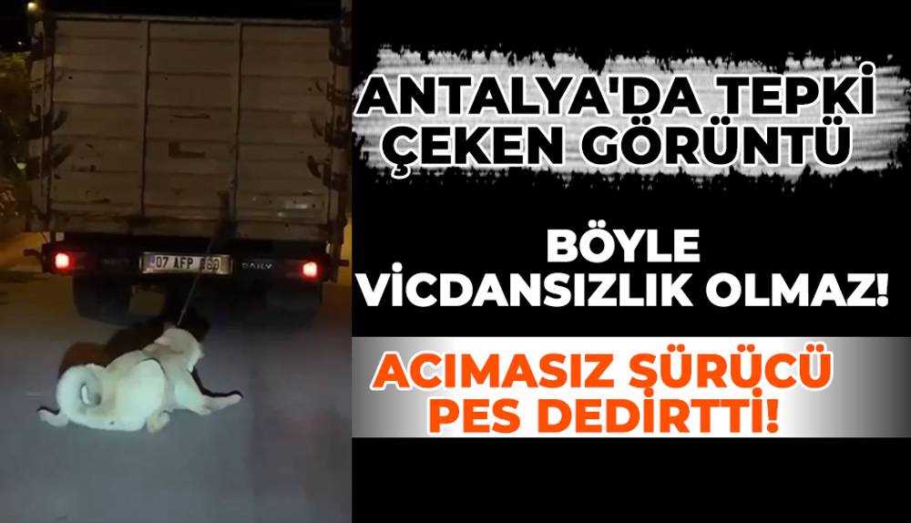 Vicdansız sürücü, köpeği kamyonun arkasına bağlayıp sürükledi! 