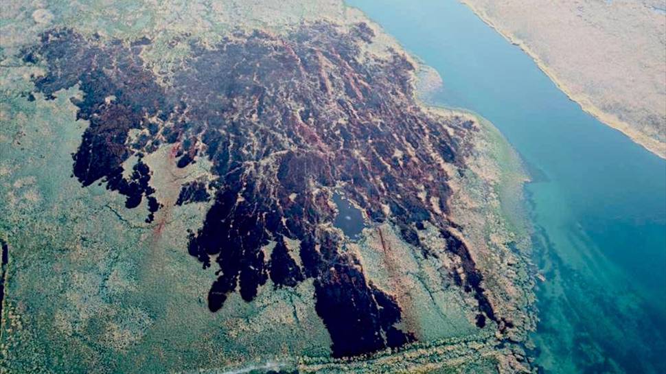 Muğla'da sazlık alanındaki yangınla ilgili gözaltılar sürüyor