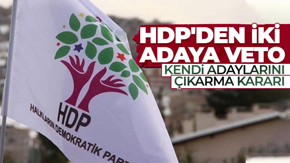 HDP'den kendi adayını çıkarma kararı