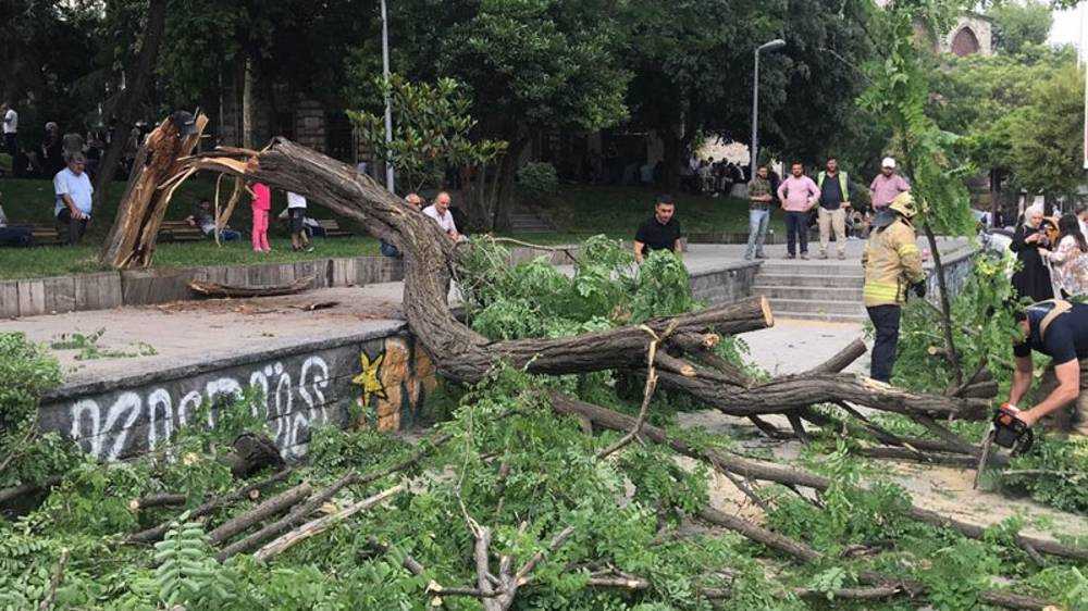 Beyoğlu’nda kırılan ağaç 2’si turist 3 kişiyi yaraladı