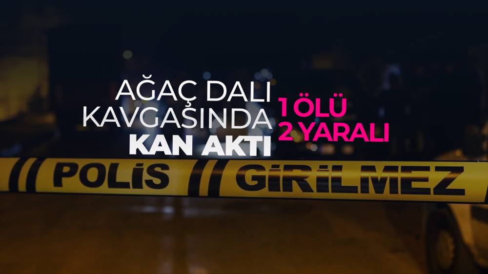 Ağaç dalı nedeniyle çıkan kavgada 1 kişi öldü 2 kişi yaralandı