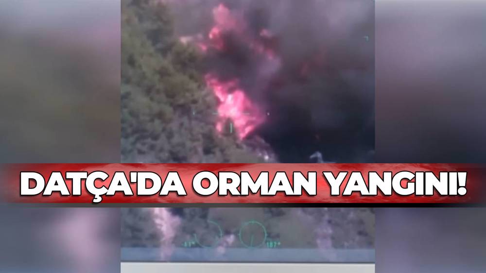 Datça'da orman yangını! 