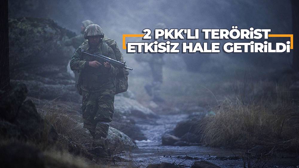 2 PKK'lı terörist etkisiz hale getirildi