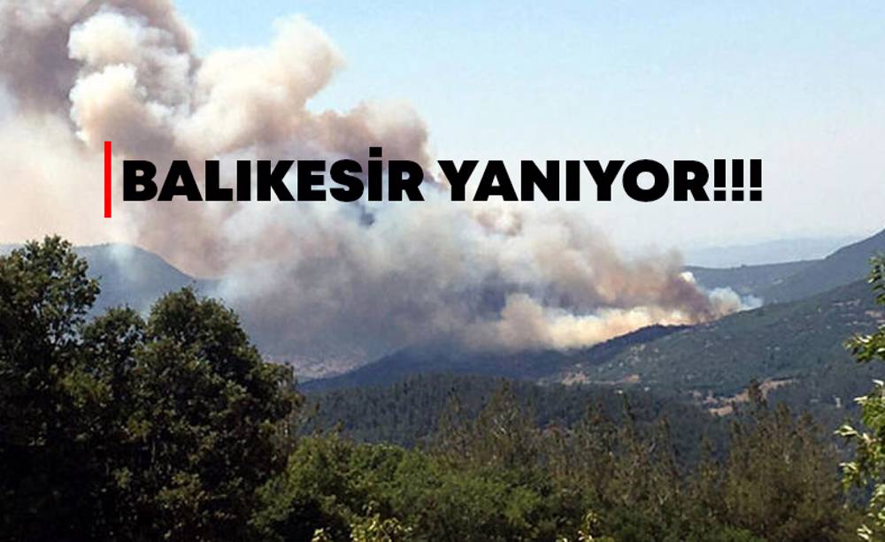 Balıkesir'de orman yangını