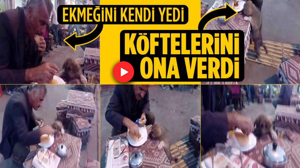 Ekmeği kendi yedi, köftelerini yavru sokak köpeğine verdi