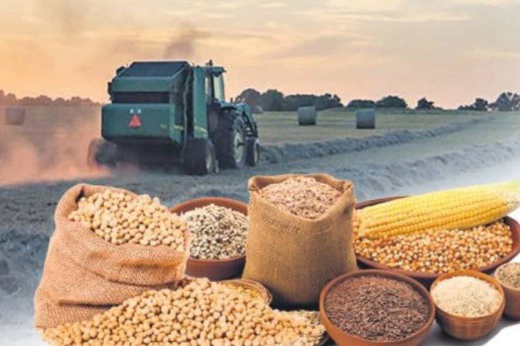 Tarım Ürünleri Fiyat Endeksi'nin Haziran verileri  açıklandı
