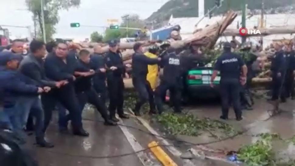 Meksika’da 25 metrelik ağaç aracın üzerine devrildi! Ölü ve yaralılar var!