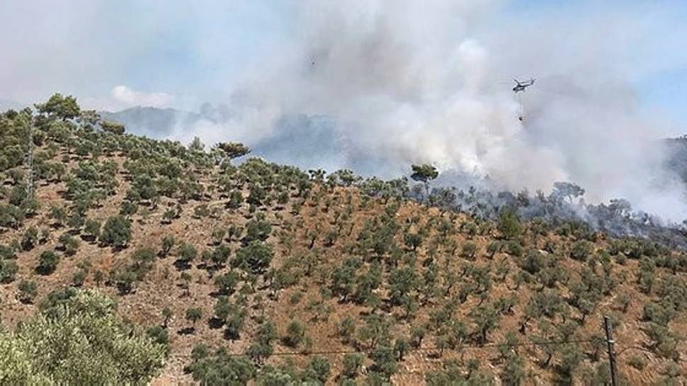 Muğla'da çıkan orman yangınları söndürüldü