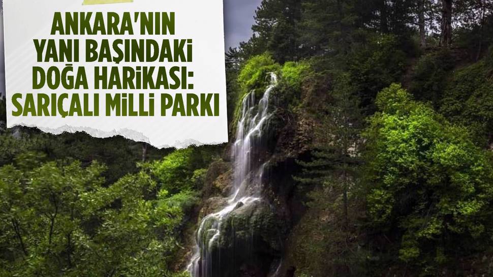 Nallıhan Sarıçalı Dağı Milli Park'ı doğa severleri bekliyor