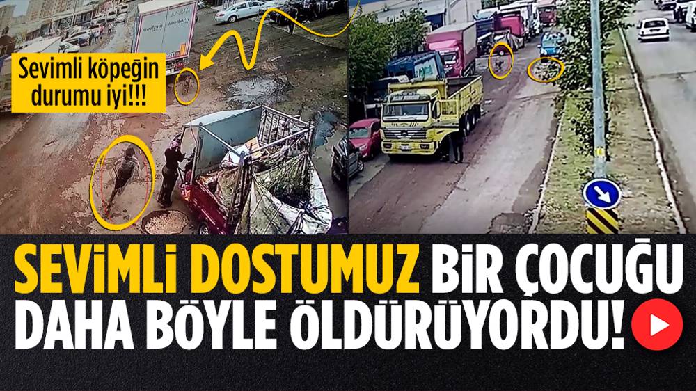 Yine köpek faciası: Çocuğa araba çarptı!