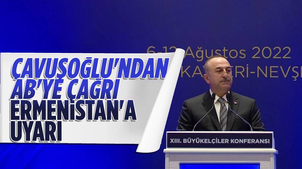 Çavuşoğlu,''Avrupa'nın Türkiye'ye ihtiyacı var''