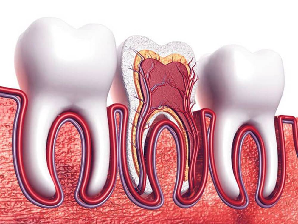 Endodonti diş tedavisi nedir?