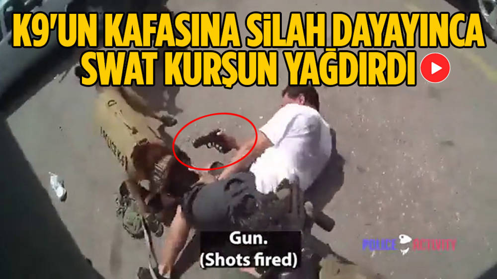 SWAT, K-9’a silah doğrultan zanlıyı öldürdü