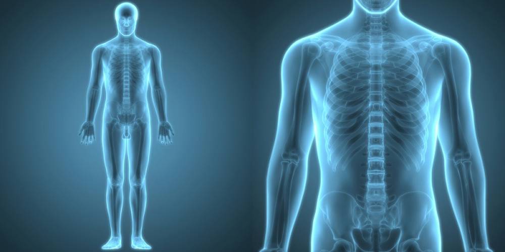 Oksidatif fosforilasyon nedir?