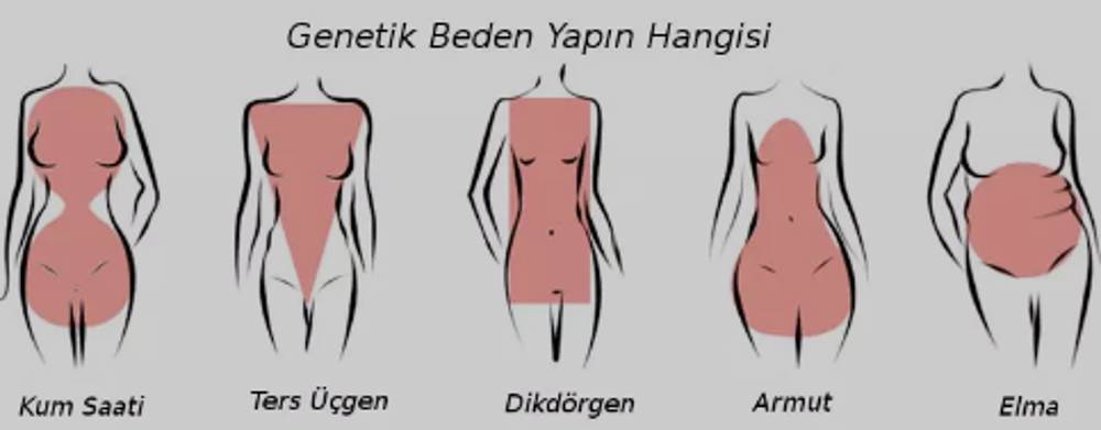 Armut vücut şekli nedir?