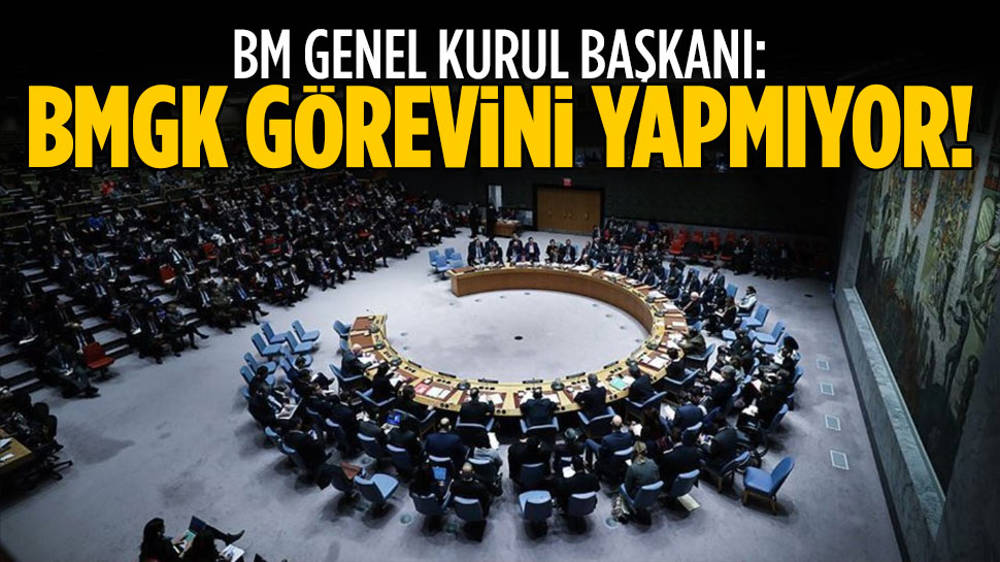 BM Genel Kurul Başkanı: BMGK görevini yapmıyor