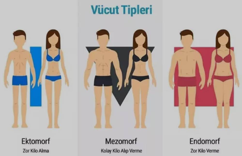 Ektomorf vücut tipi nedir?