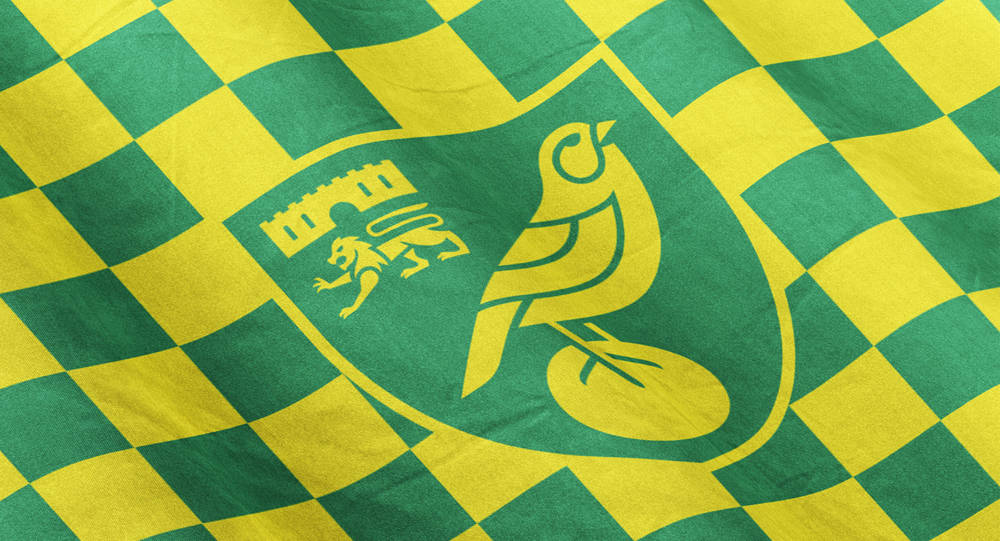 Norwich City FC nerenin takımı?