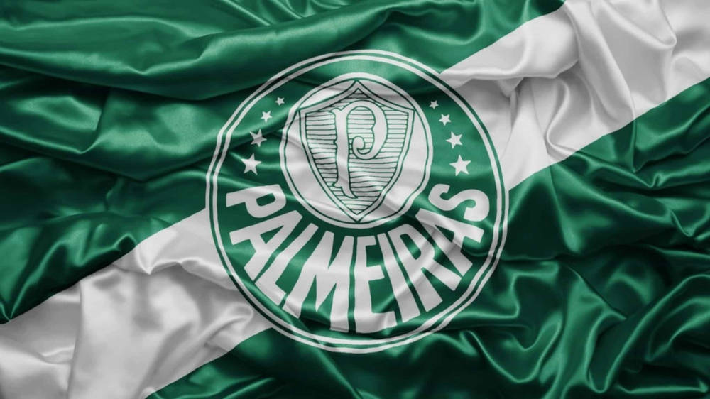 SE Palmeiras nerenin takımı?