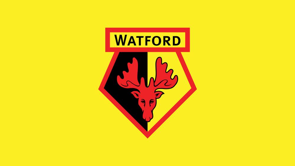 Watford FC nerenin takımı?