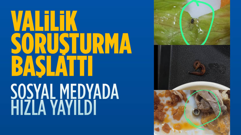 Yurtta 'yemekten böcek çıktı' iddiasına soruşturma