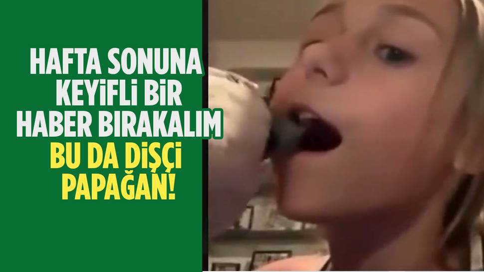  Çocuğun sallanan süt dişini papağan çekti