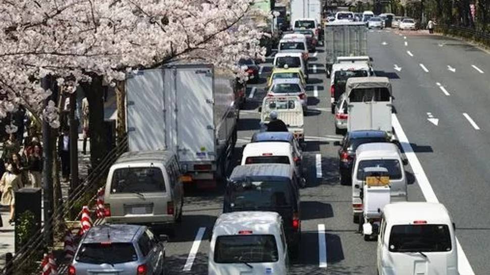 Güvercini öldüren taksi şoförü tutuklandı... Olay Tokyo'da yaşandı...