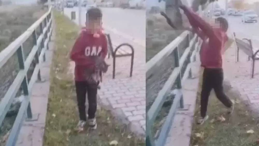 TikTok'ta paylaşmak için kediyi ırmağa atmışlardı, gözaltına alındılar