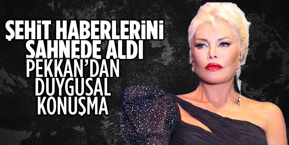 Ajda Pekkan, şehit haberleri sonrası sahnede duygusal anlar yaşadı