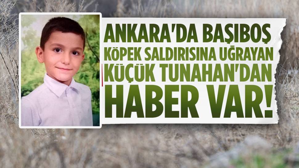 Ankara'da sokak köpekleri tarafından saldırıya uğramıştı: Tunahan Yılmaz'dan güzel haber