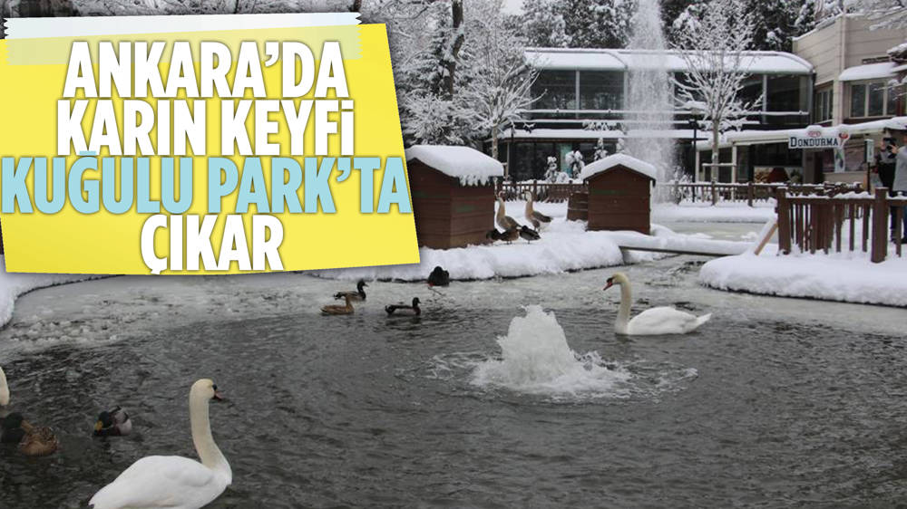 Ankara'nın simgesi Kuğulu Park'ta kar coşkusu!