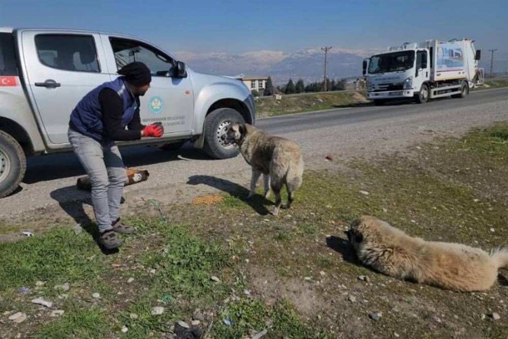 Manisa Kahramanmaraş'ta da can dostlarını unutmadı