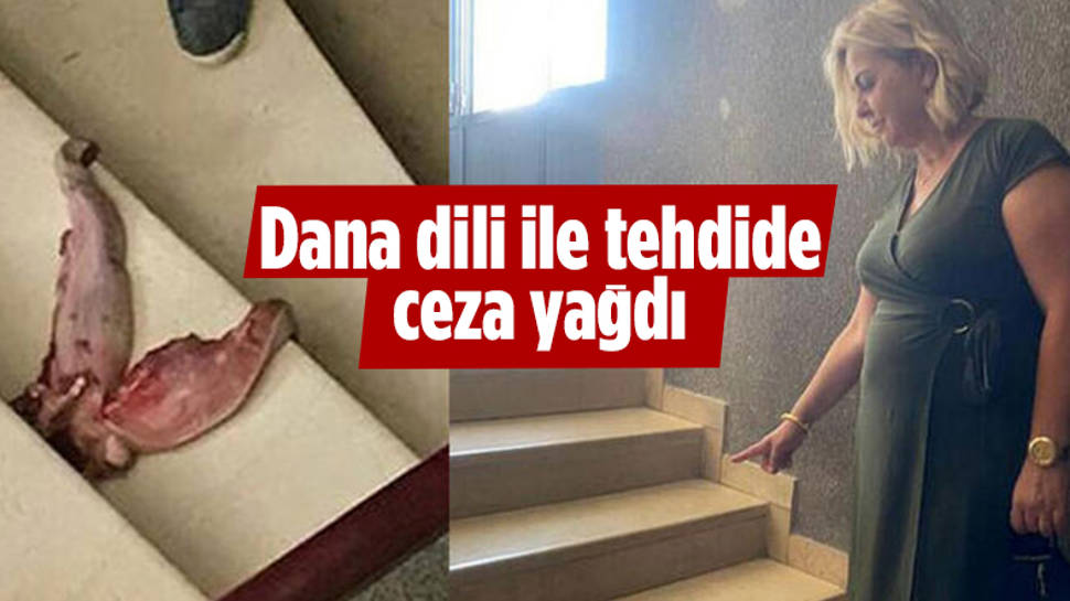 Gazi Üniversitesinde görev yapan profesörü dana diliyle tehdit eden şahsa ceza