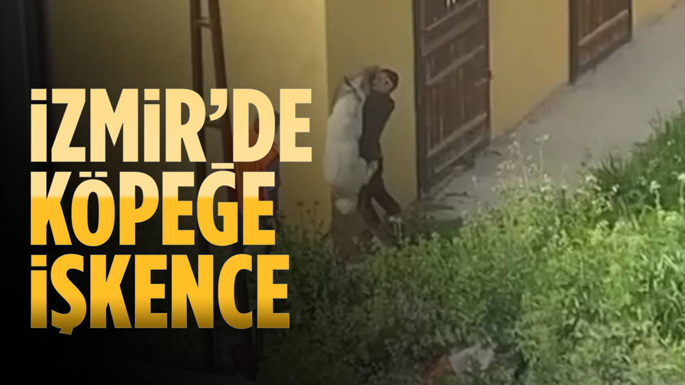 İzmir’de köpeğe işkence böyle görüntülendi