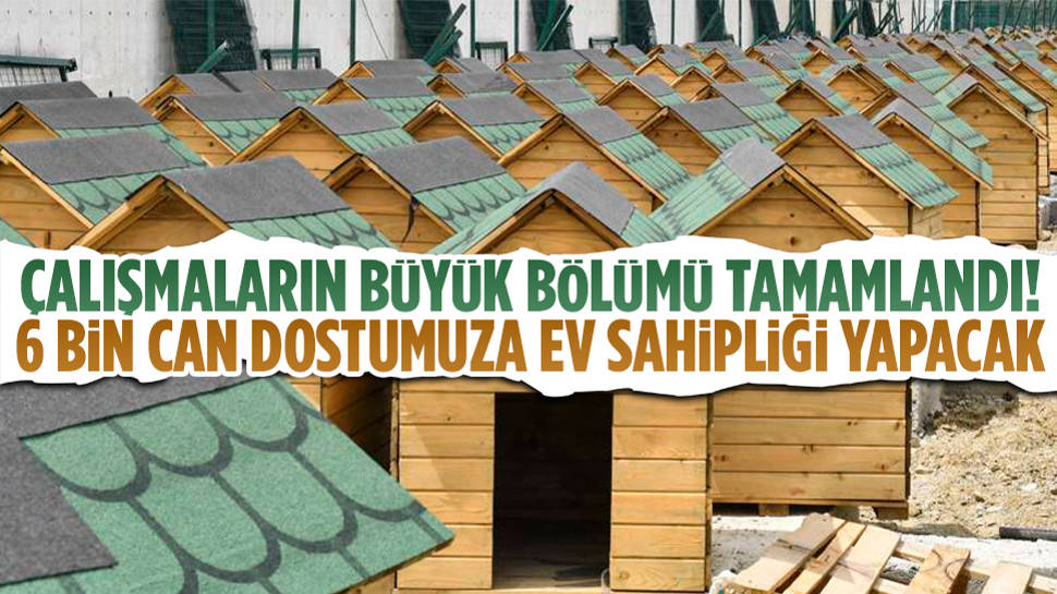 ABB'den can dostlarımız için yeni bir konforlu yaşam alanı daha!