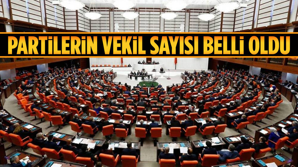 Milletvekilleri kesin sonuçları açıklandı 