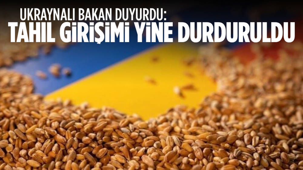 Ukrayna: Tahıl Girişimi yine durduruldu